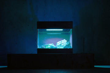 Jonas Brinker: Untitled (Spectators) Steel, glass, UVC-light, computer, phosphorescent rocks (Franklin, NJ), 75 x 75 cm, 2023