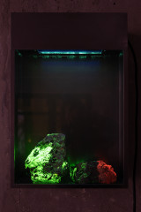 Jonas Brinker: Red, Green and Blue Steel, glass, UVC-light, phosphorescent rocks (Franklin, NJ), 48 x 32cm, 2023