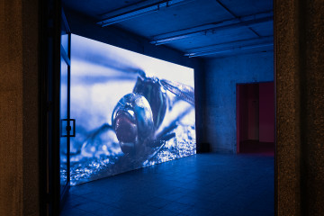 Installation view: Jonas Brinker, 25.07.2022, 02:14 AM, Times Square, 02.37min, video
