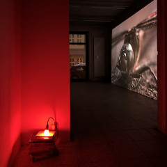 Installation View, Lamplight Stack Red lamp, books, photograph, dimensions variable, 2023