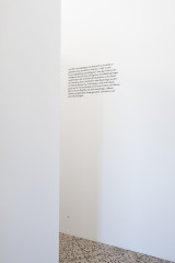 Almut Hilf Denken im Bestand IV, berührt, geführt (33), 2020 inkjet, laminated and framed 63 × 45 cm Ed. 3 + 1
